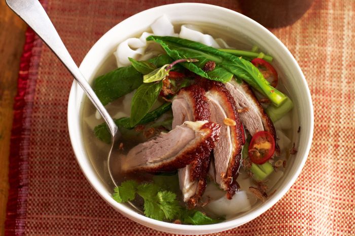 How to cook duck soup chinese style