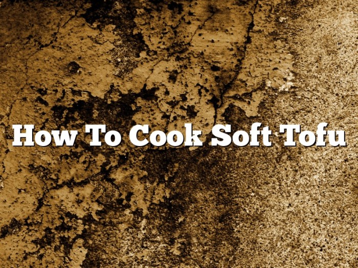 How to cook soft style tofu